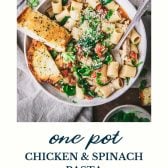 Bowl of one pot chicken and spinach pasta with text title at the bottom.