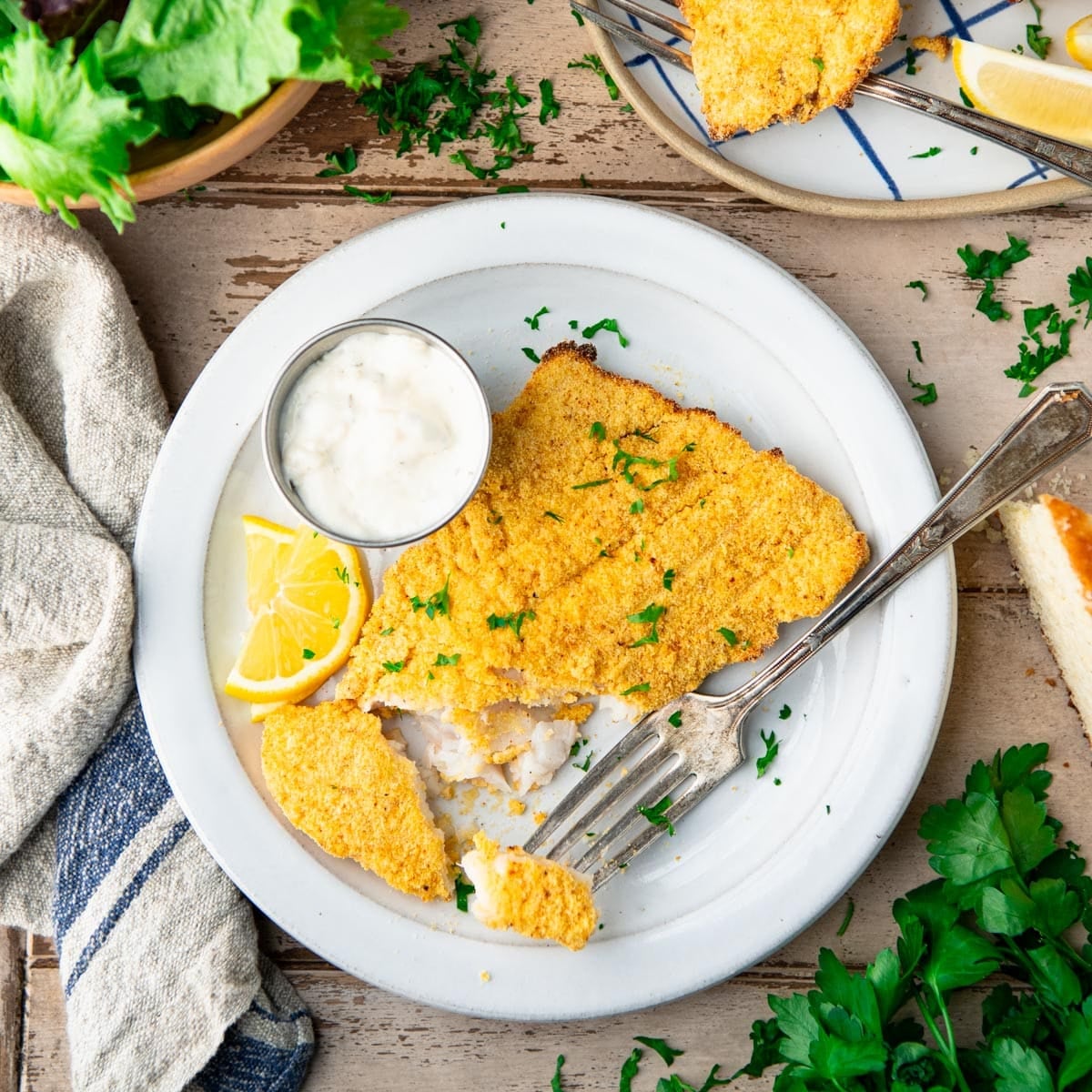 Square overhead shot of a plate of baked catfish.