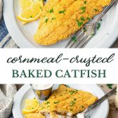Long collage image of cornmeal crusted baked catfish.