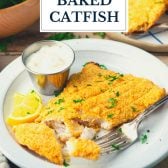 Front shot of a plate of baked catfish with text title overlay.