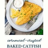 Plate of cornmeal crusted baked catfish with text title at the bottom.
