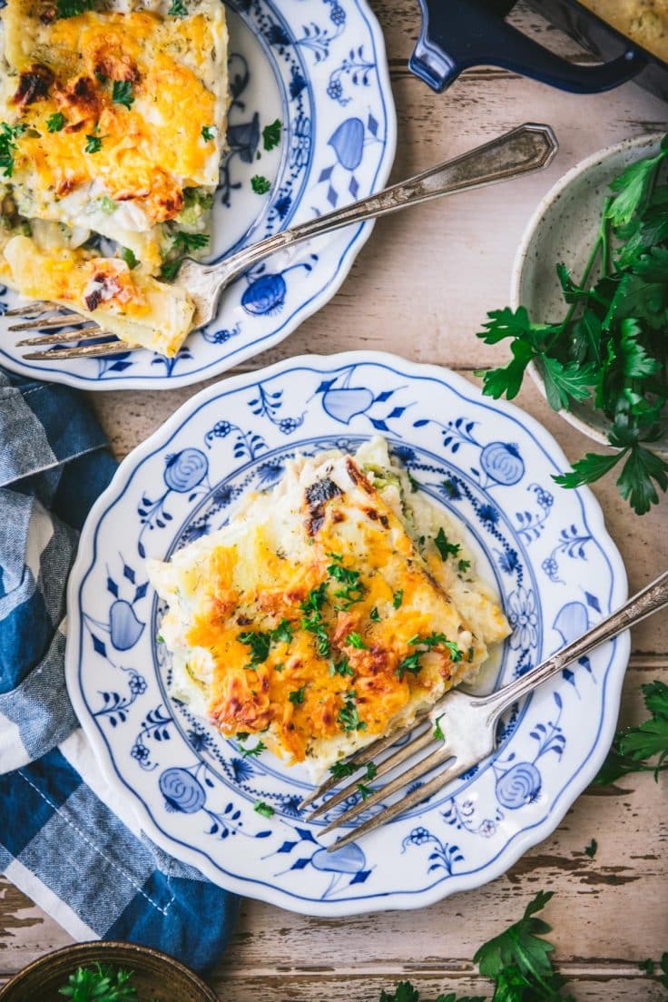 Cheddar Chicken Broccoli Lasagna Recipe The Seasoned Mom