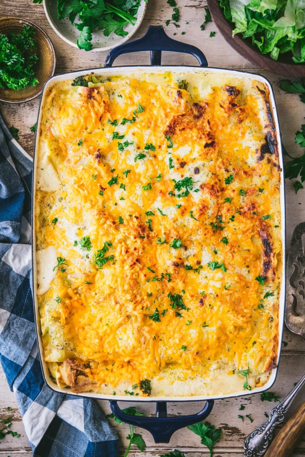 Cheddar Chicken Broccoli Lasagna Recipe The Seasoned Mom