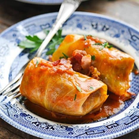 Square shot of two stuffed cabbage rolls on a blue and white plate