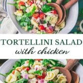 Long collage image of tortellini salad.