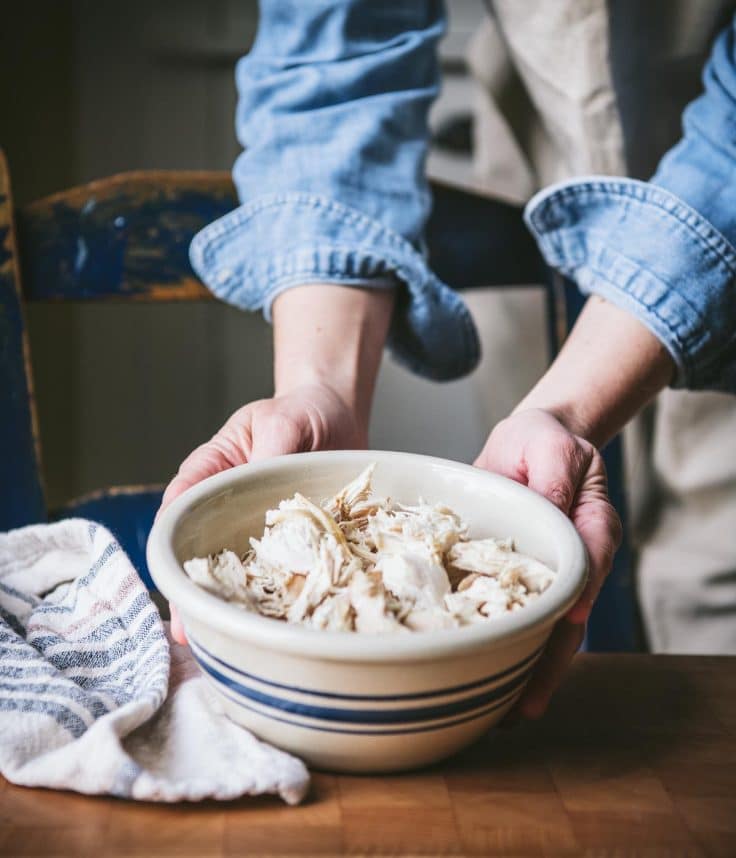 Bowl of shredded cooked chicken.
