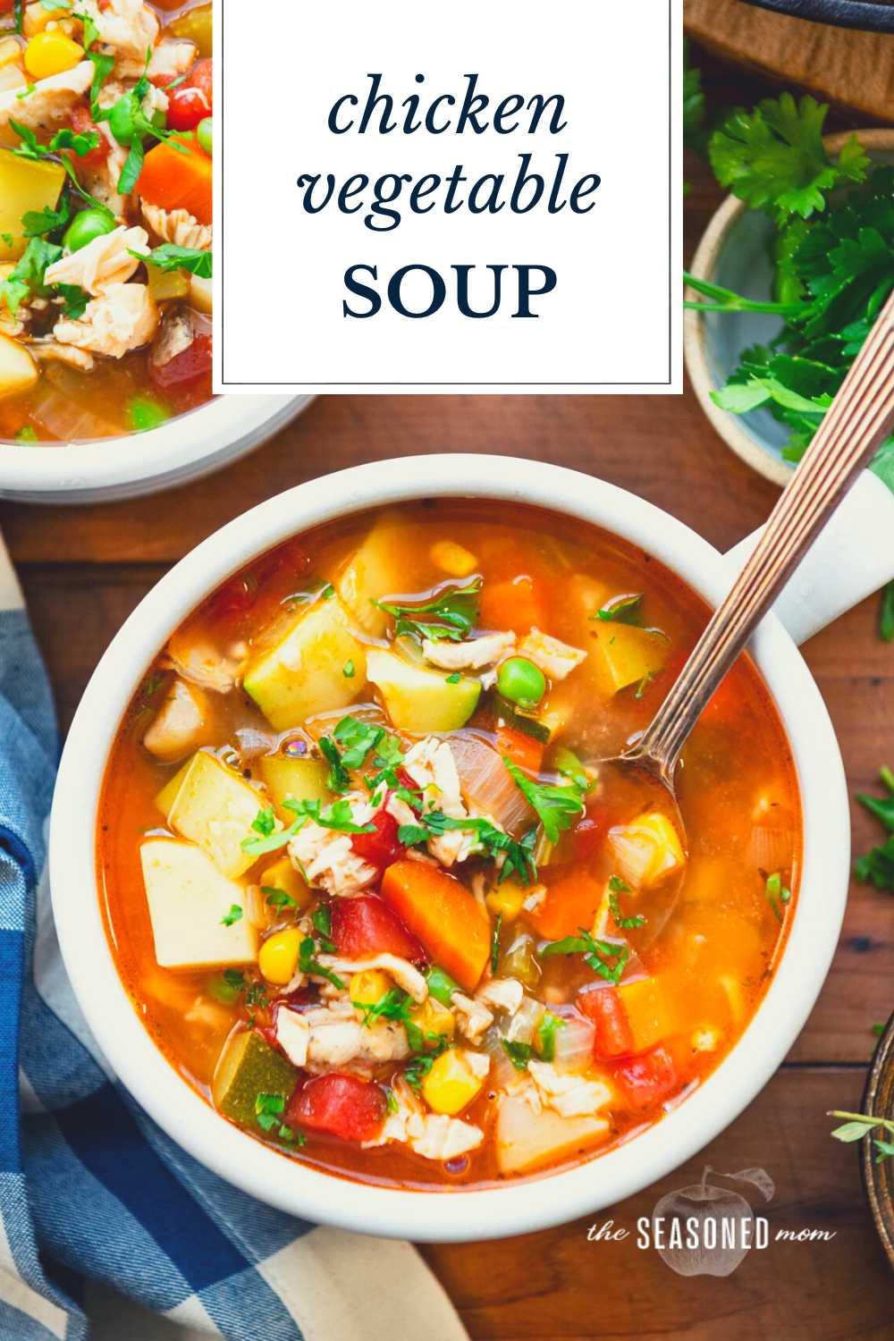 Chicken Vegetable Soup - The Seasoned Mom