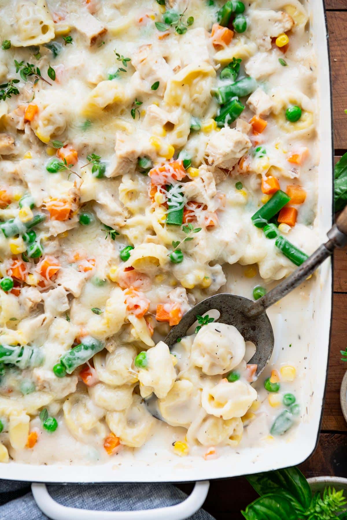 Close overhead image of a serving spoon in a pan of chicken tortellini alfredo casserole.