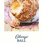 Easy cheese ball recipe with text title at the bottom.