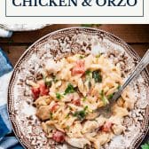Dump-and-bake chicken orzo recipe with text title box at top.