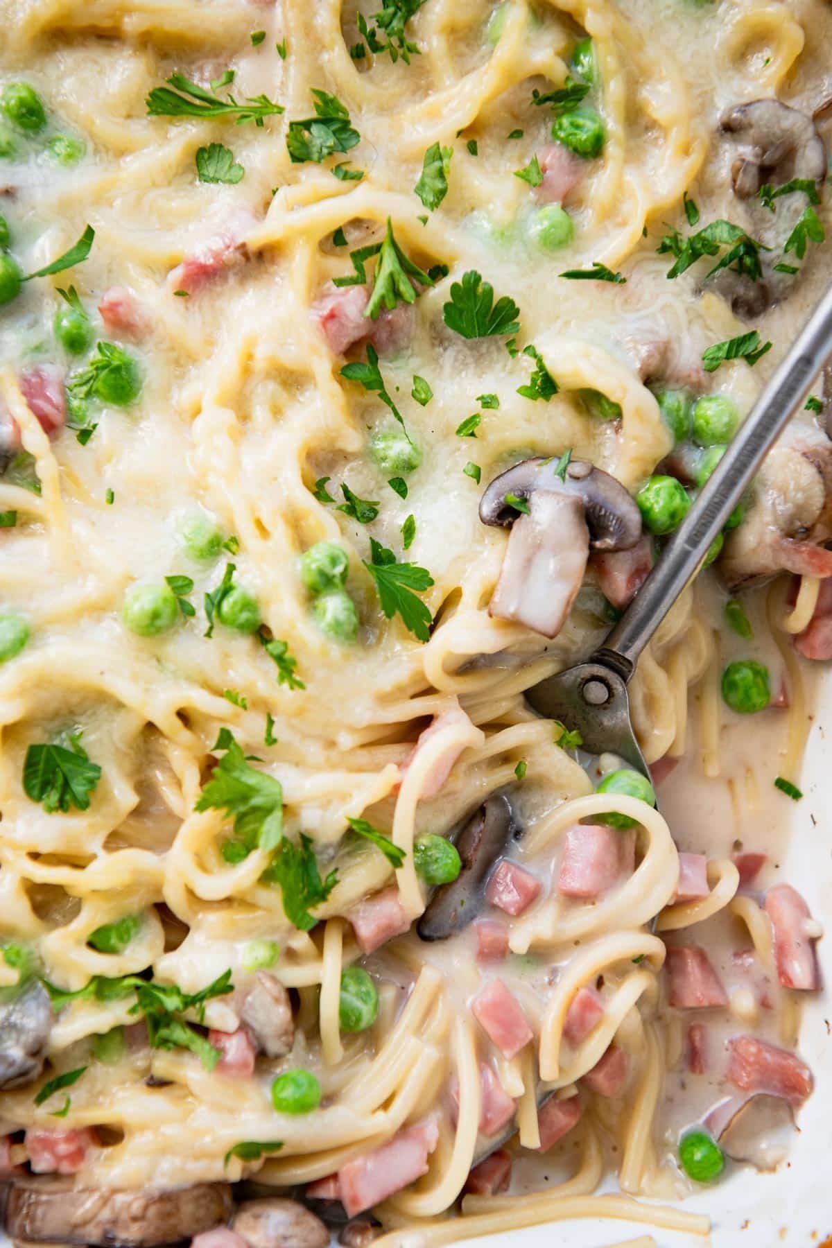 Close up shot of a spoon in a pan of dump and bake ham tetrazzini.