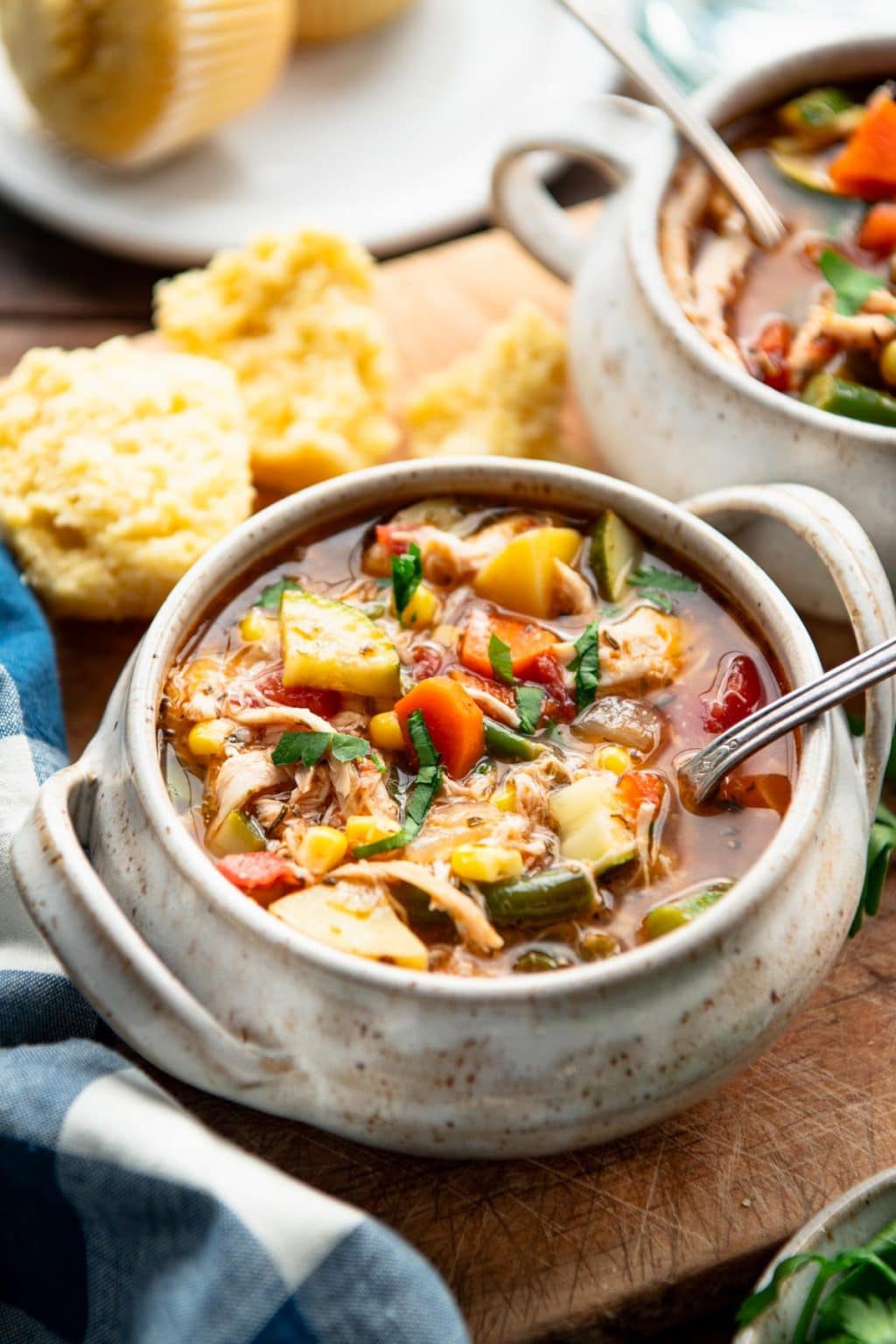 Turkey Vegetable Soup - The Seasoned Mom