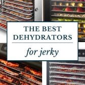 Long collage image of the best dehydrators for jerky