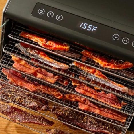 Square close up shot of the best dehydrators for jerky