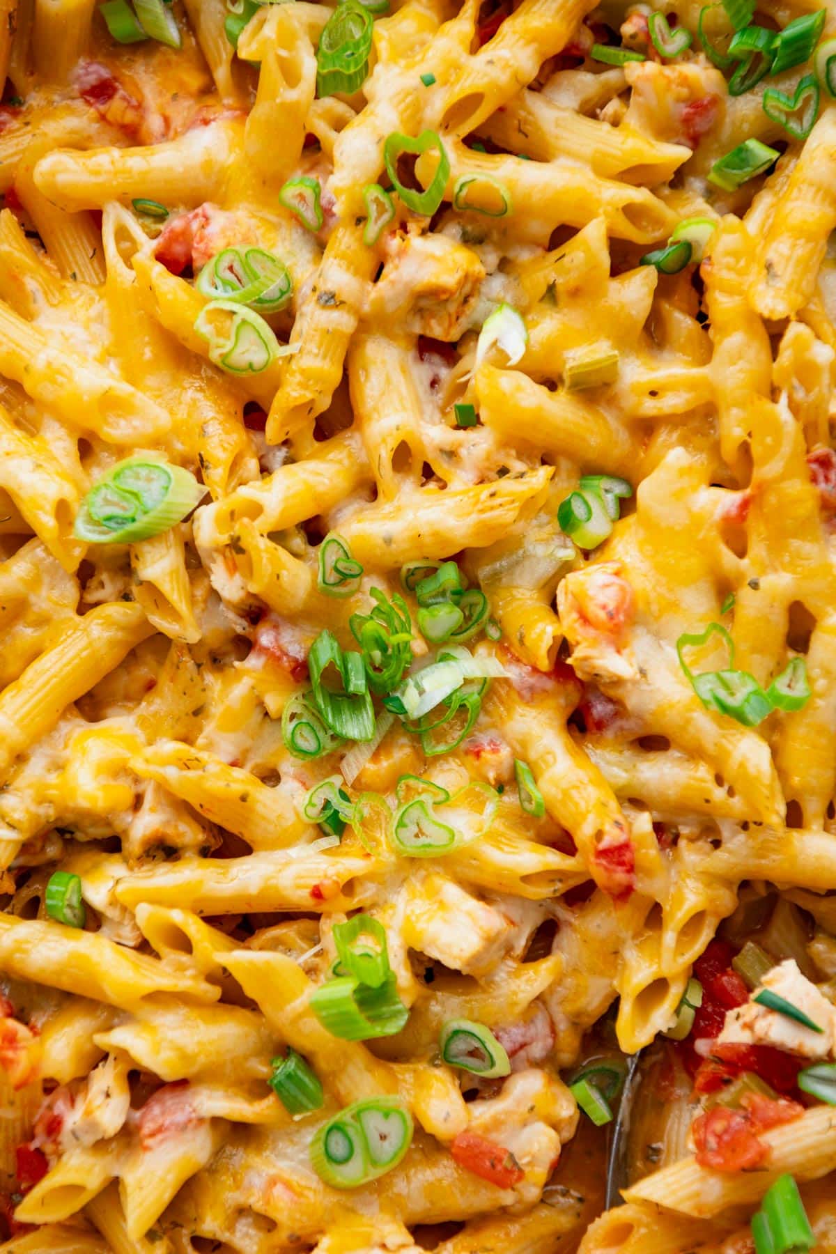 Close up shot of the top of a buffalo chicken pasta bake with sliced green onions on top.
