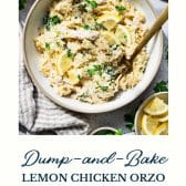Dump-and-bake lemon chicken orzo with text title at the bottom.