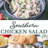 Long collage image of Southern chicken salad recipe.