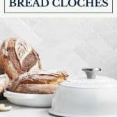 The best bread cloches with text title box at top.
