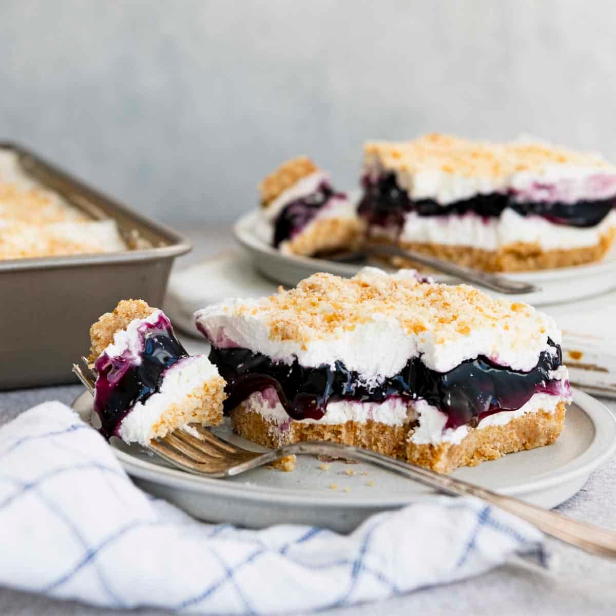 Square side shot of blueberry yum yum cake on a plate.
