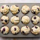 Overhead shot of baked sour cream blueberry muffins.