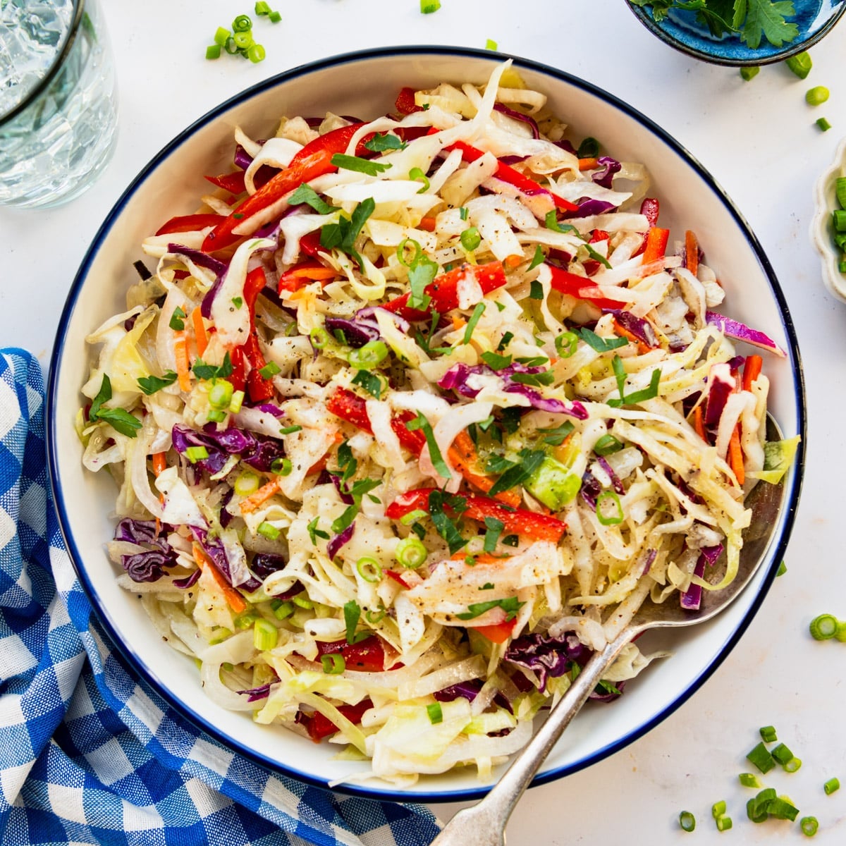 Square overhead shot of a bowl of vinegar coleslaw.