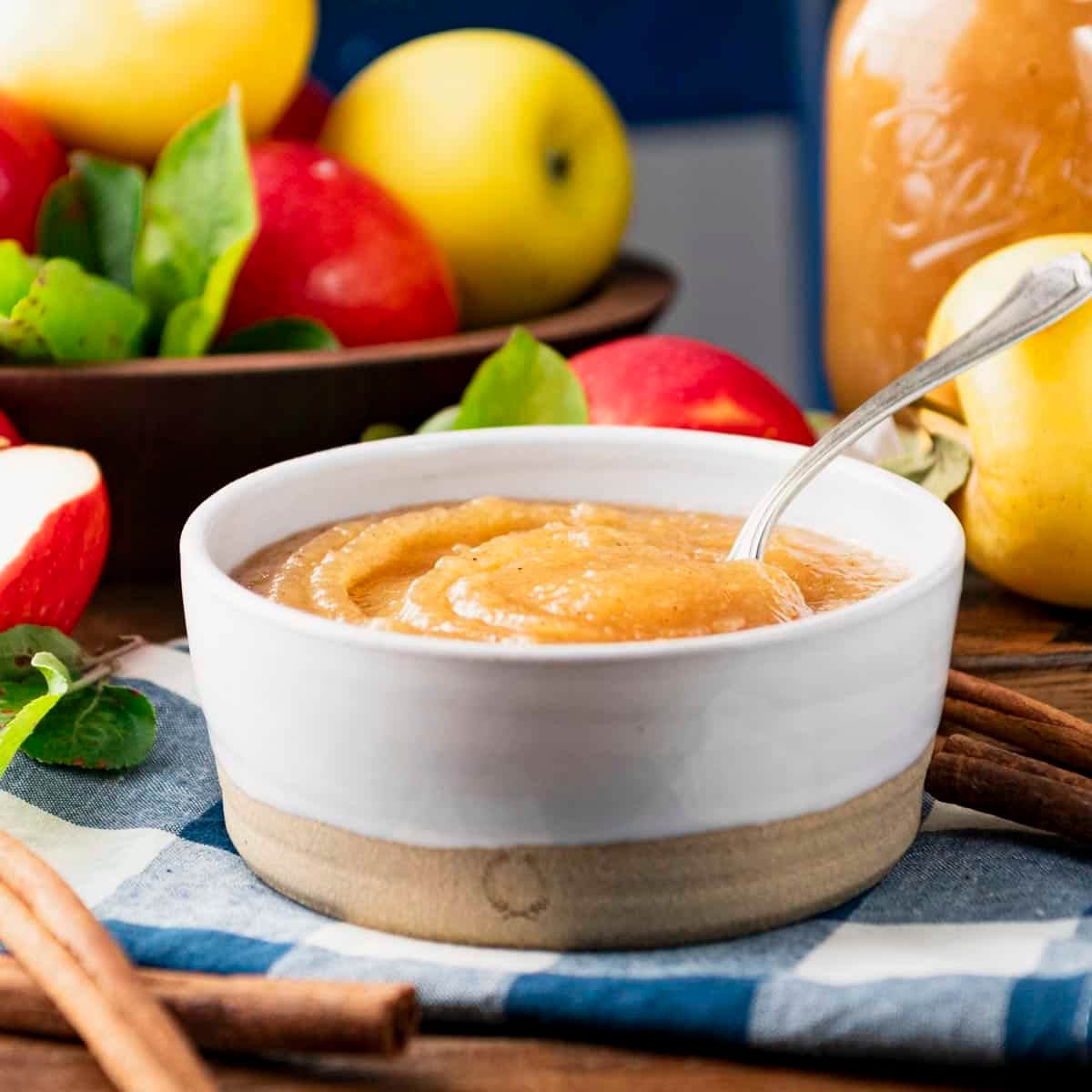 Square side shot of a bowl of homemade applesauce.