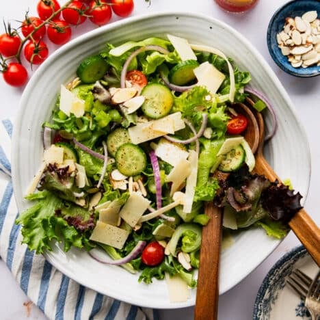 Square overhead shot of a green salad dressed with red wine vinegar salad dressing.