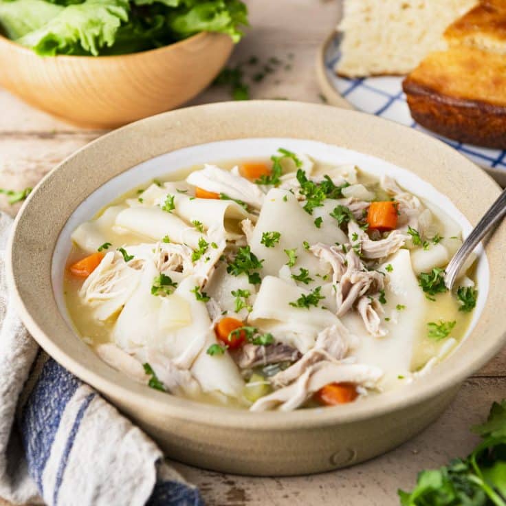 Square side shot of a bowl of shortcut chicken and dumplings.