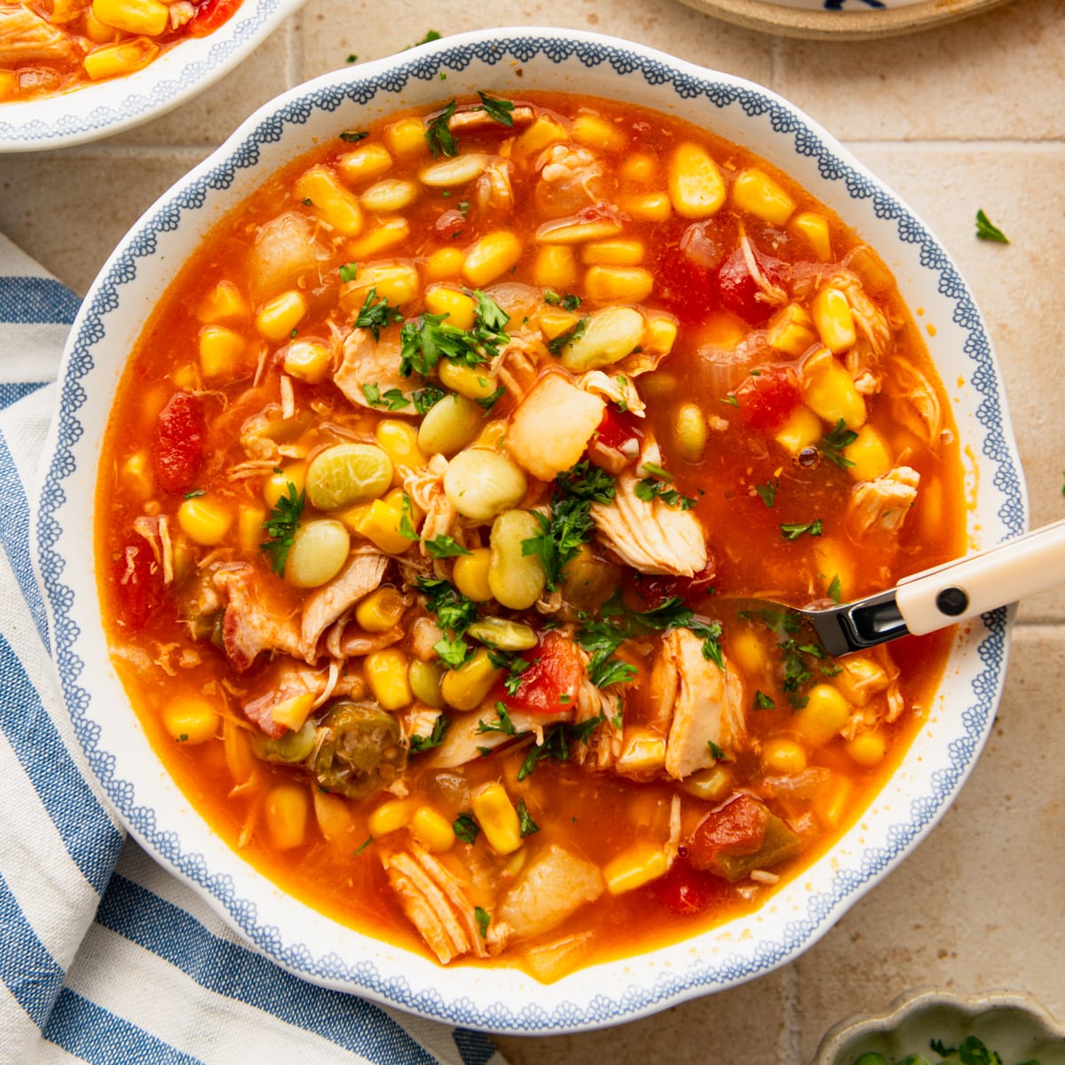 Virginia Brunswick Stew-image