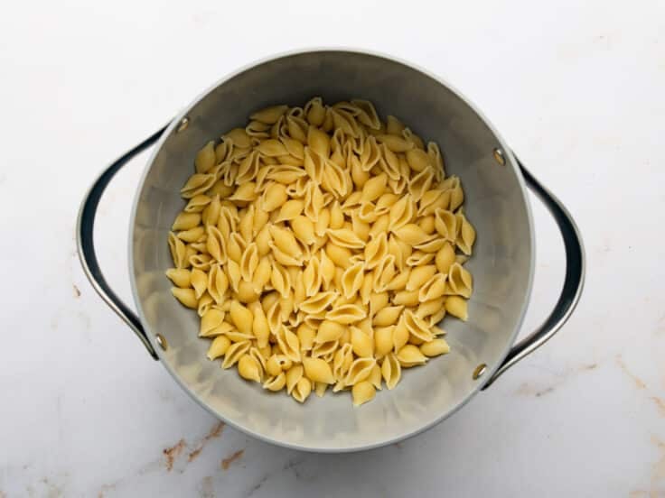 Cooked medium shells pasta in a pot.