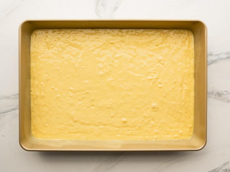 Coconut cake batter in the pan before baking.