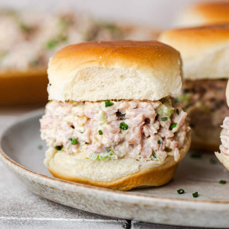 Square side shot of a ham salad sandwich.