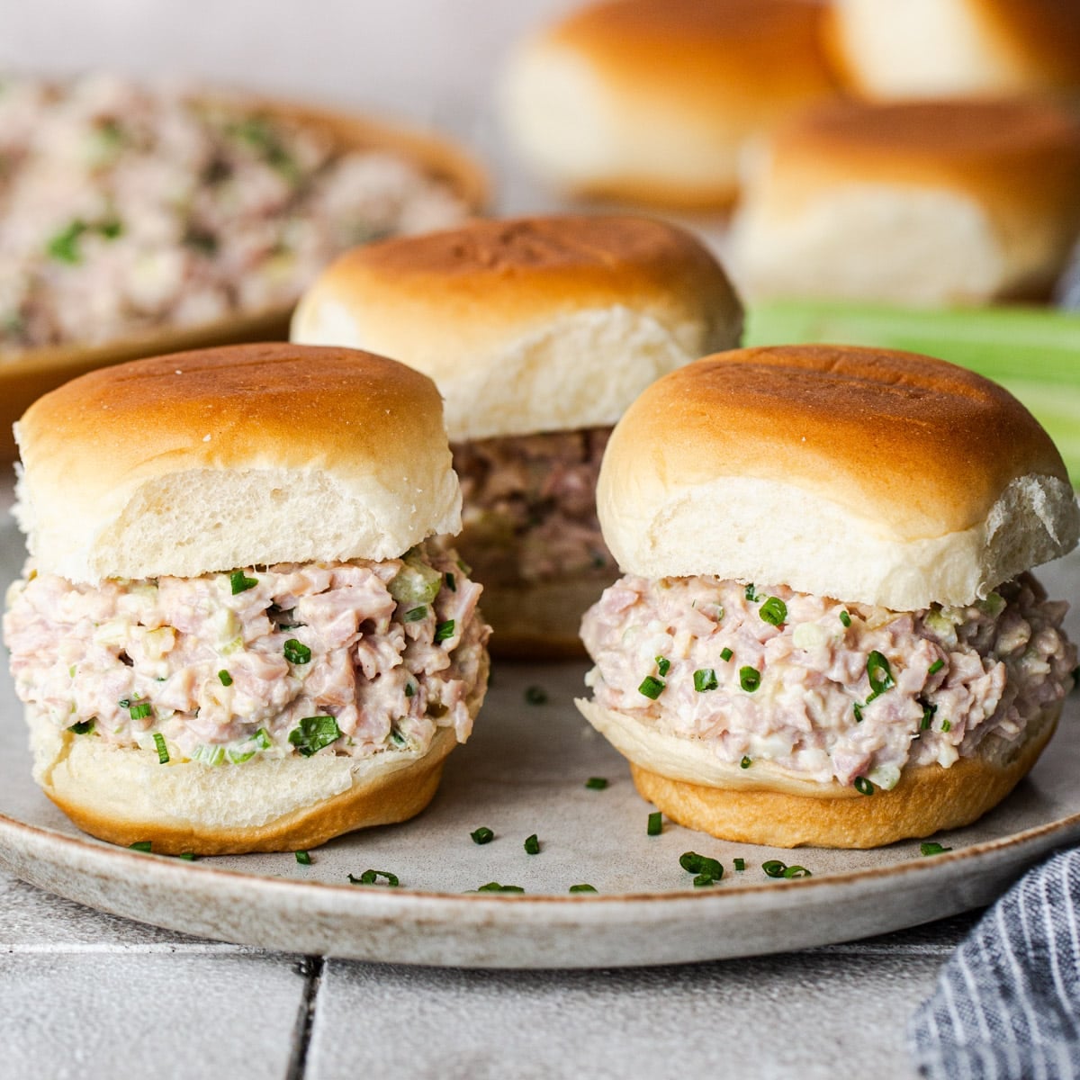 Square side shot of ham salad sliders.