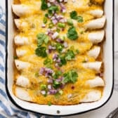 Square overhead shot of a pan of cream cheese chicken enchiladas.
