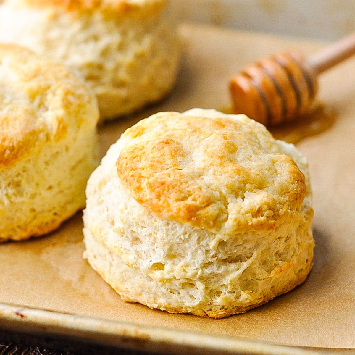 Square close up shot of southern biscuits.