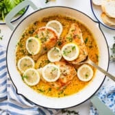 Square overhead shot of skillet lemon chicken on a white table.