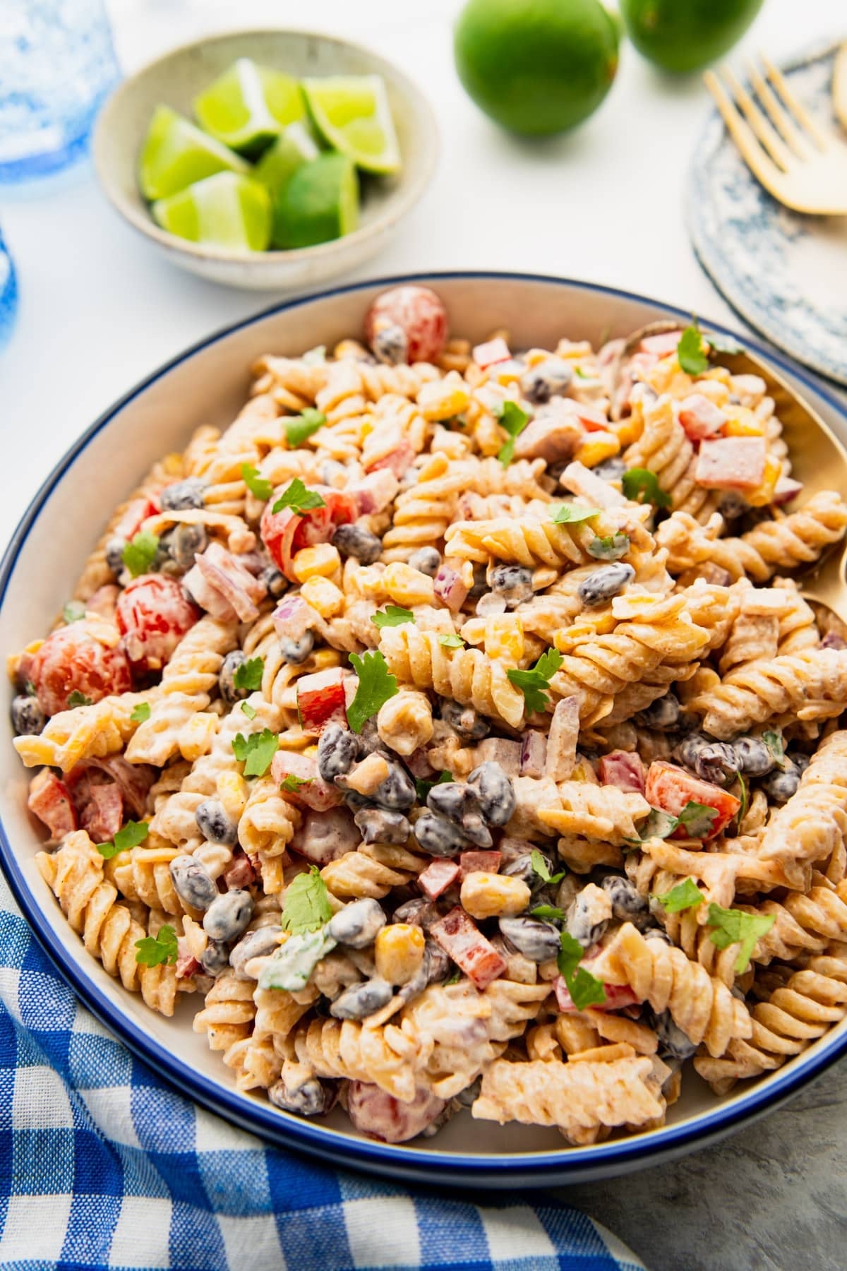 Close up side shot of a bowl of southwest pasta salad.