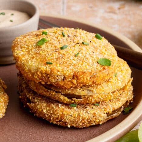 Square side shot of Southern fried green tomatoes on a plate.