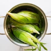 Soaking ears of corn in water.