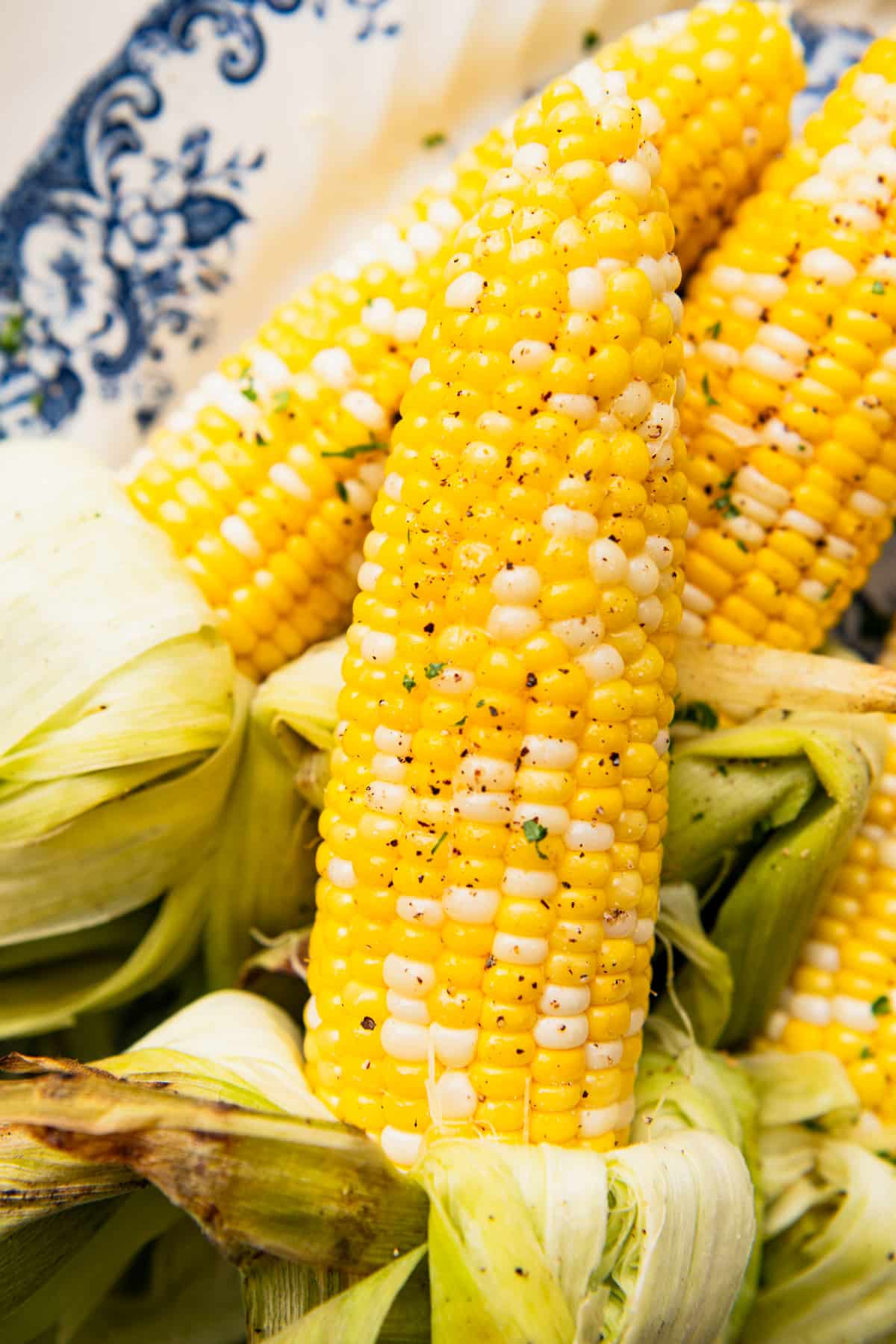 Close overhead shot of a grilled ear of corn.