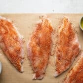 Rubbing blackened seasoning on catfish fillets.