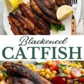 Long collage image of blackened catfish.