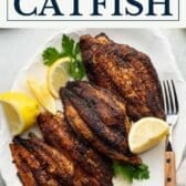 Blackened catfish with a text title box at the top.