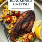 Blackened catfish with a text title overlay.